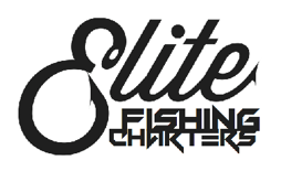 Sanibel Fishing Charters
