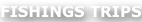 shapeimage_29_link_0