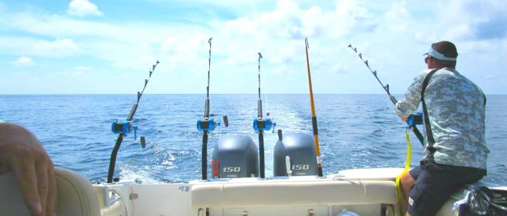 Offshore Fishing Charters SWFL Florida Reel Revenge